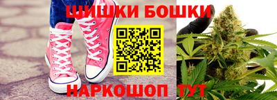 прущие грибы Заводоуковск