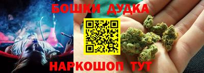 прущие грибы Заводоуковск